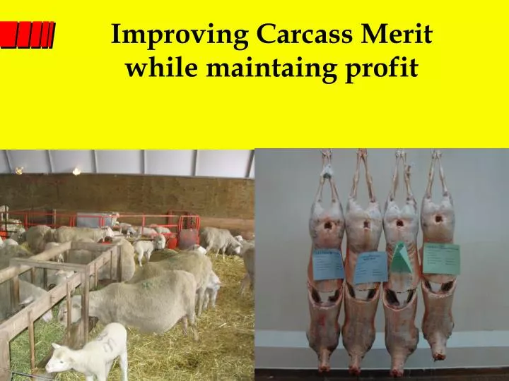 improving carcass merit while maintaing profit