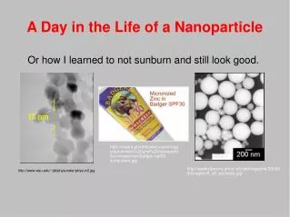 A Day in the Life of a Nanoparticle