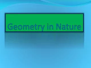 Geometry in Nature