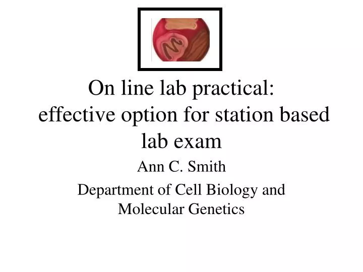 on line lab practical effective option for station based lab exam