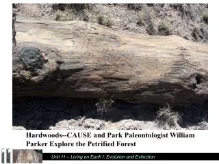 Hardwoods--CAUSE and Park Paleontologist William Parker Explore the Petrified Forest