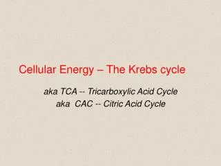 Cellular Energy – The Krebs cycle