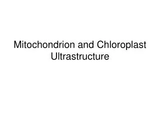 Mitochondrion and Chloroplast Ultrastructure