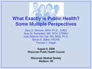 What Exactly is Public Health? Some Multiple Perspectives