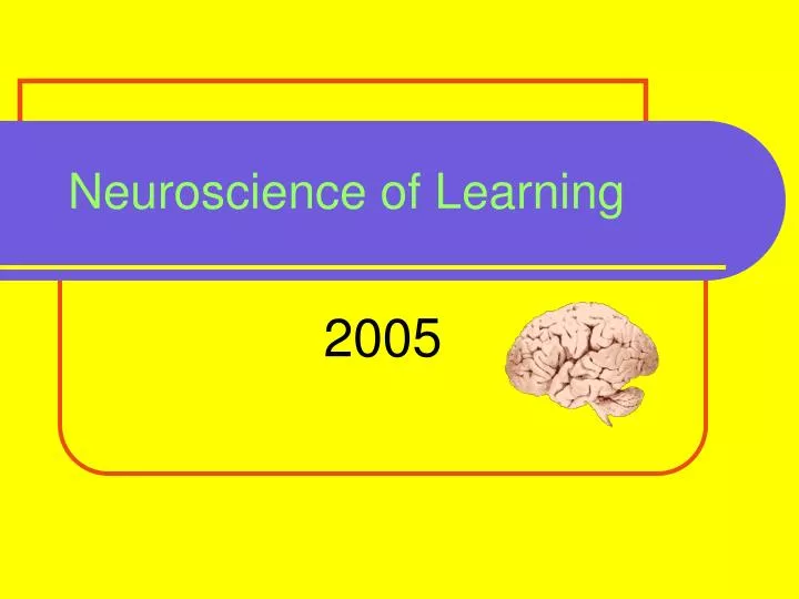 neuroscience of learning