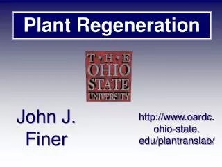 Plant Regeneration