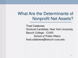 What Are the Determinants of Nonprofit Net Assets?