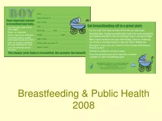 Breastfeeding &amp; Public Health 2008