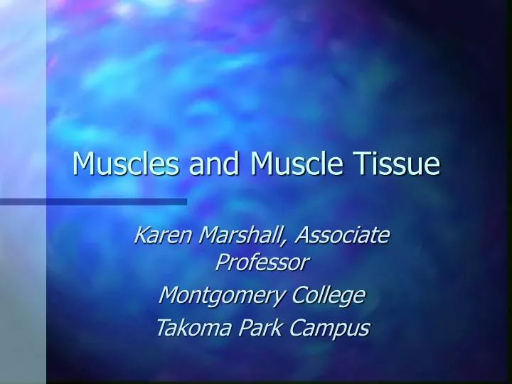 muscles and muscle tissue