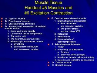 Muscle Tissue Handout #5 Muscles and #6 Excitation-Contraction