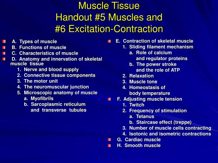 muscle tissue handout 5 muscles and 6 excitation contraction
