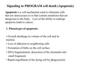 Signaling to PROGRAM cell death (Apoptosis)