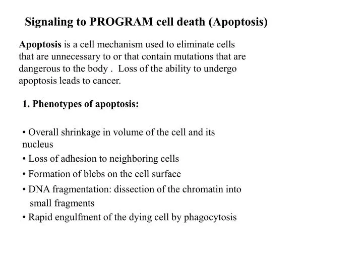 signaling to program cell death apoptosis