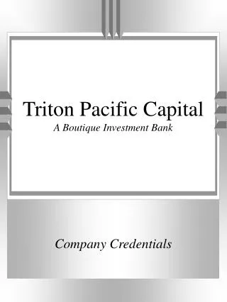 Triton Pacific Capital A Boutique Investment Bank