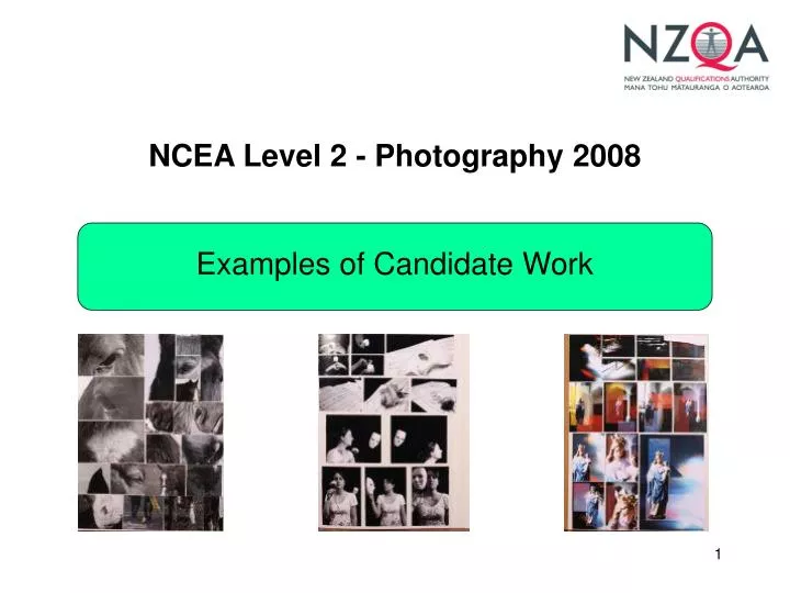 ncea level 2 photography 2008