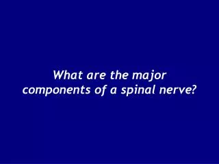 What are the major components of a spinal nerve?
