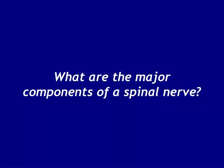 what are the major components of a spinal nerve