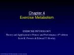 Chapter 4 Exercise Metabolism - slide 1