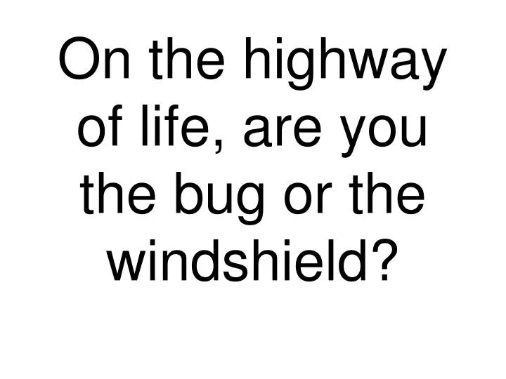 on the highway of life are you the bug or the windshield