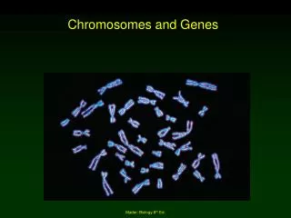 Chromosomes and Genes