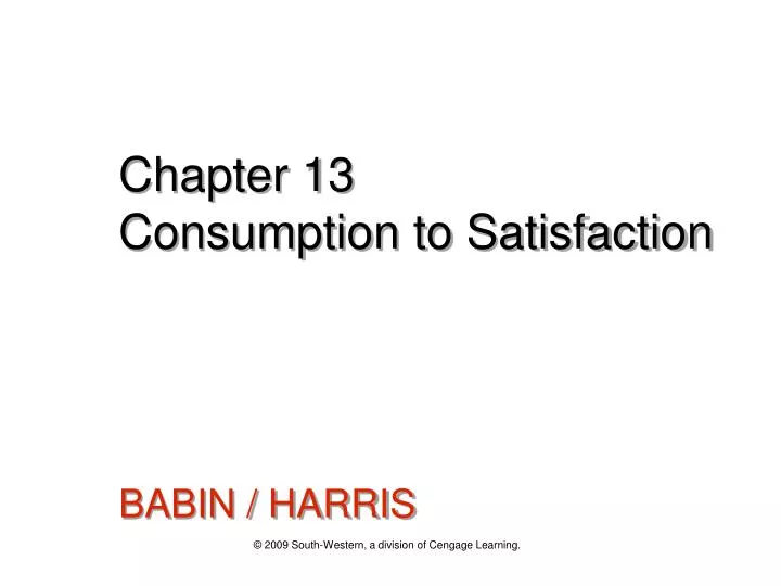 chapter 13 consumption to satisfaction