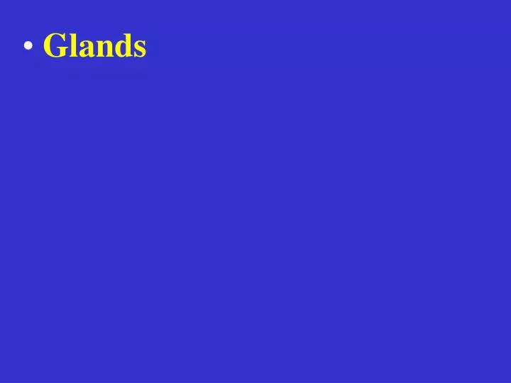 glands