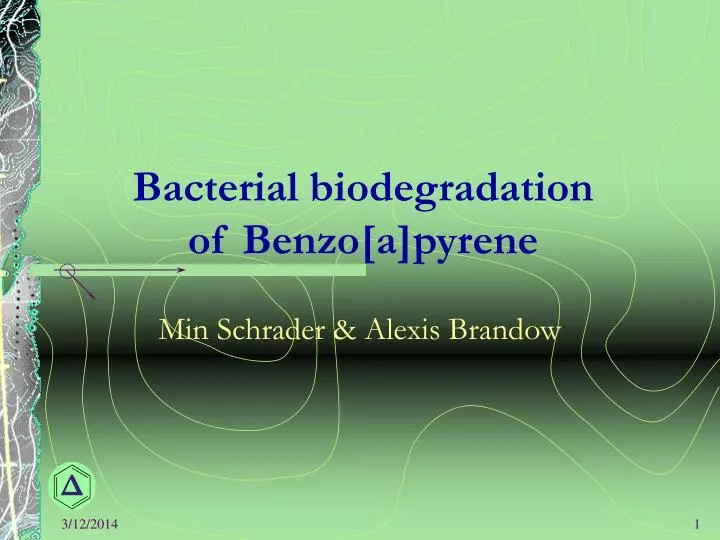 bacterial biodegradation of benzo a pyrene