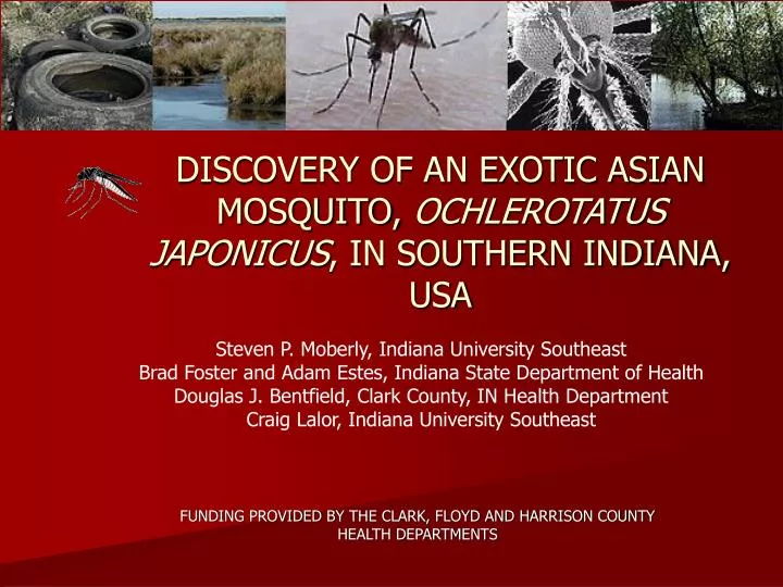 discovery of an exotic asian mosquito ochlerotatus japonicus in southern indiana usa