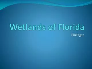 Wetlands of Florida