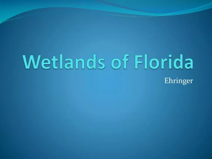 wetlands of florida