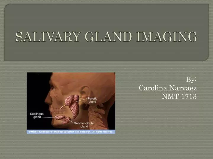 salivary gland imaging