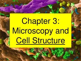 Chapter 3: Microscopy and Cell Structure