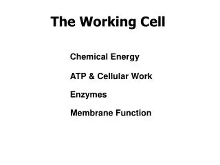 The Working Cell