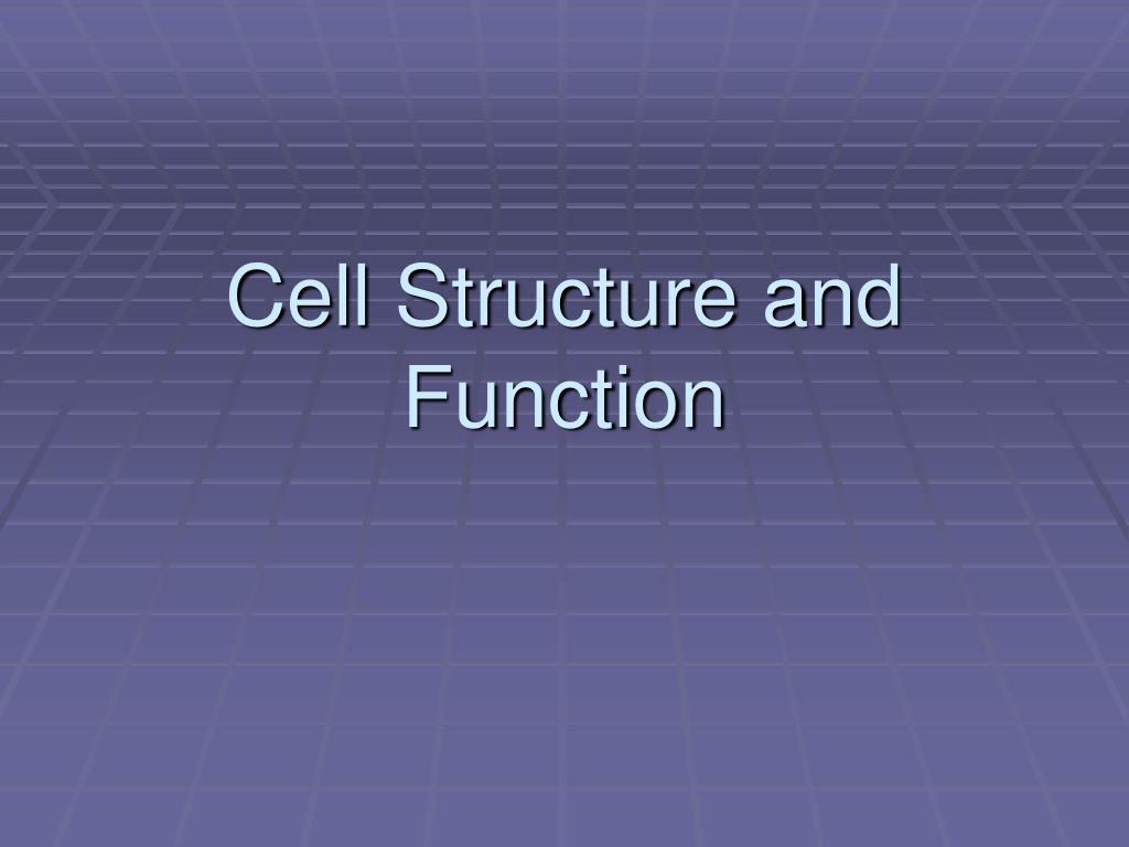 PPT - Cell Structure and Function PowerPoint Presentation, free ...
