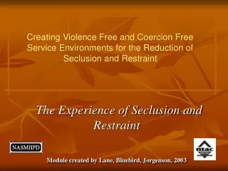 The Experience of Seclusion and Restraint Module created by Lane, Bluebird, Jorgenson, 2003