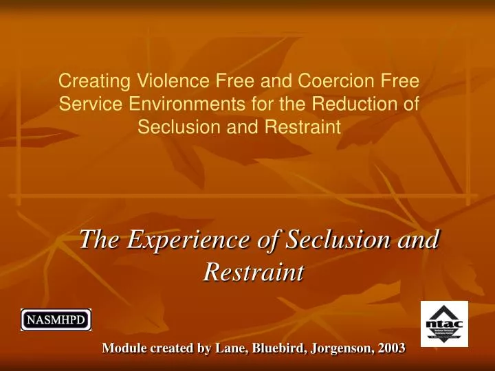 the experience of seclusion and restraint module created by lane bluebird jorgenson 2003