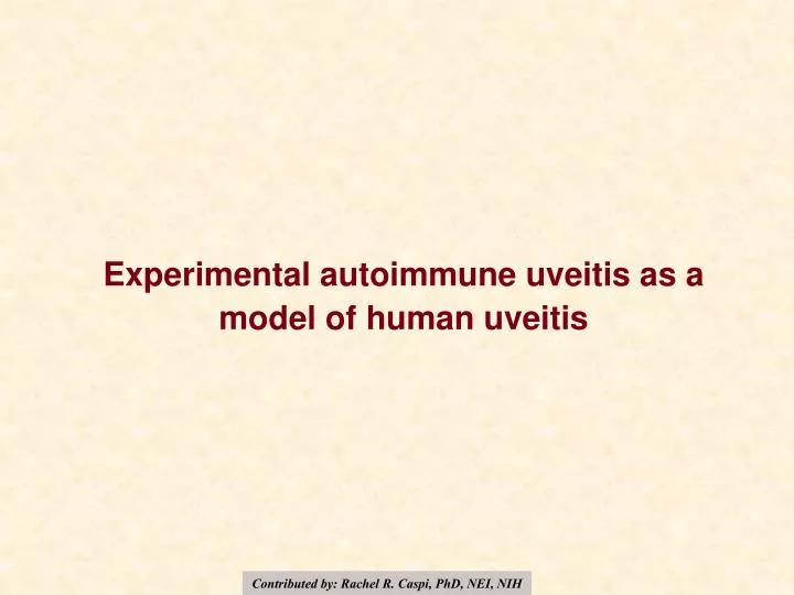 experimental autoimmune uveitis as a model of human uveitis