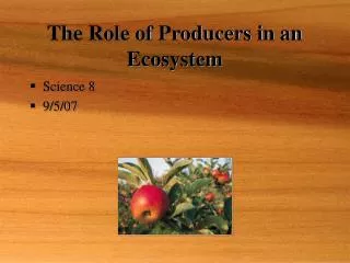 The Role of Producers in an Ecosystem