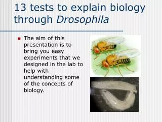 13 tests to explain biology through Drosophila