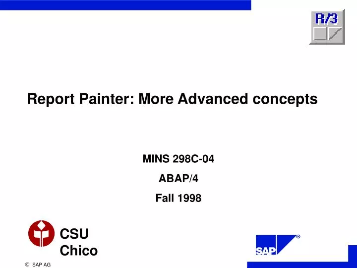 report painter more advanced concepts