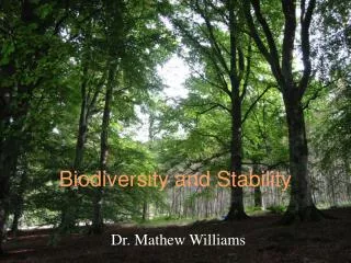 Biodiversity and Stability