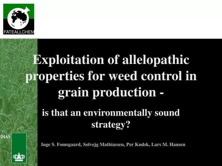 exploitation of allelopathic properties for weed control in grain production