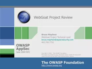 WebGoat Project Review