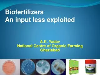 Biofertilizers An input less exploited