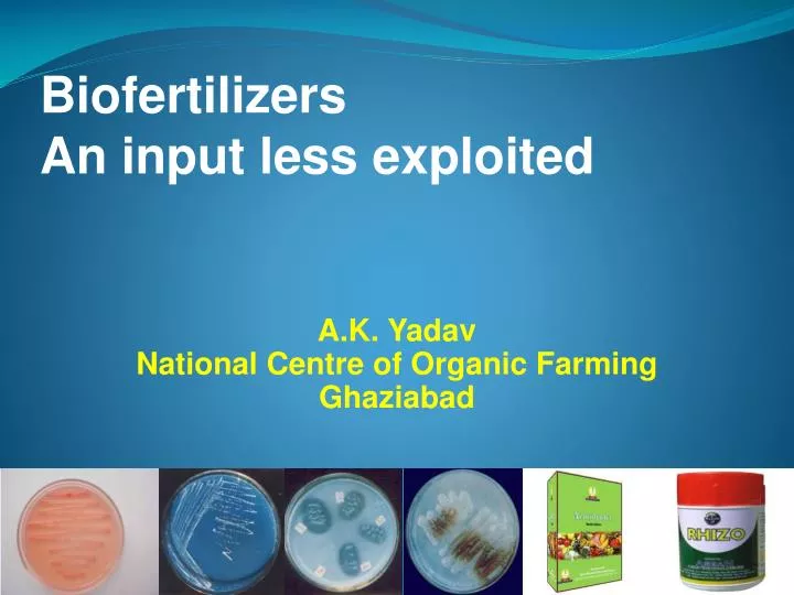 biofertilizers an input less exploited