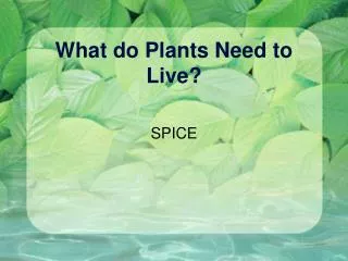 What do Plants Need to Live?