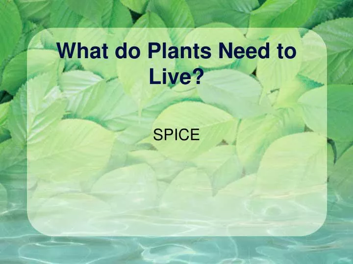 what do plants need to live