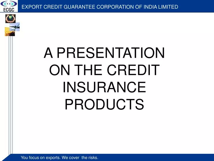 a presentation on the credit insurance products