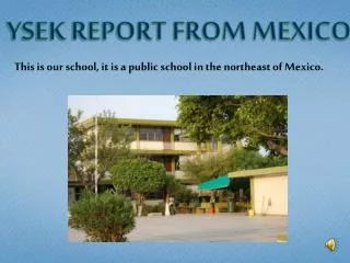YSEK REPORT FROM MEXICO