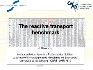The reactive transport benchmark